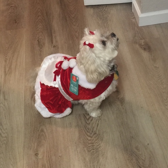 Meet your Posher, Yolanda - Picture 1 of 1